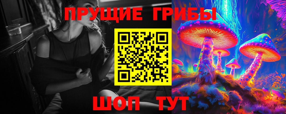 Ахтубинск  Псилоцибиновые грибы прущие грибы  Вход с VPN 